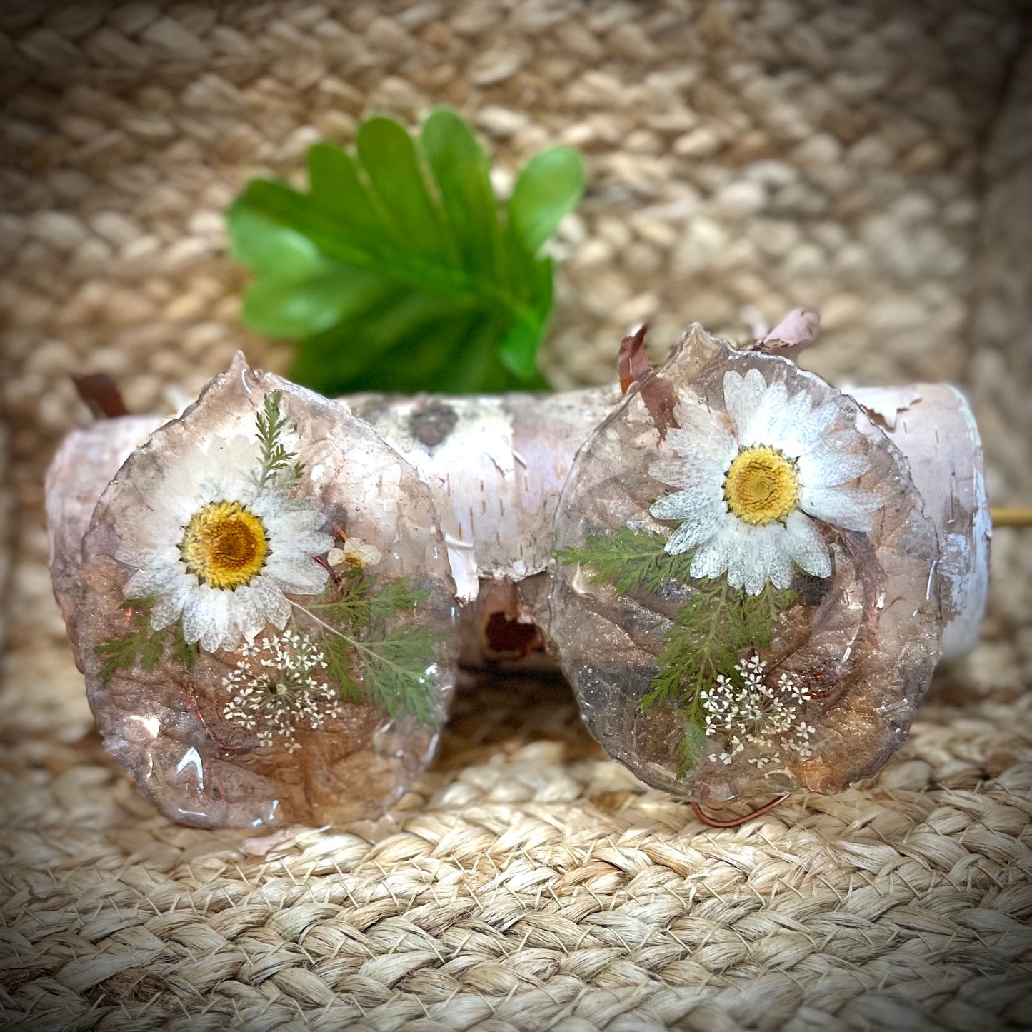 Daisy Girl Elf Ears
